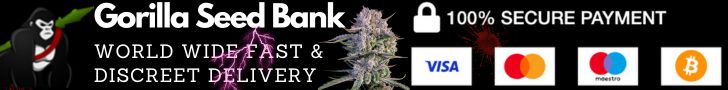 Visit Gorilla Seed Bank for great cannabis genetics